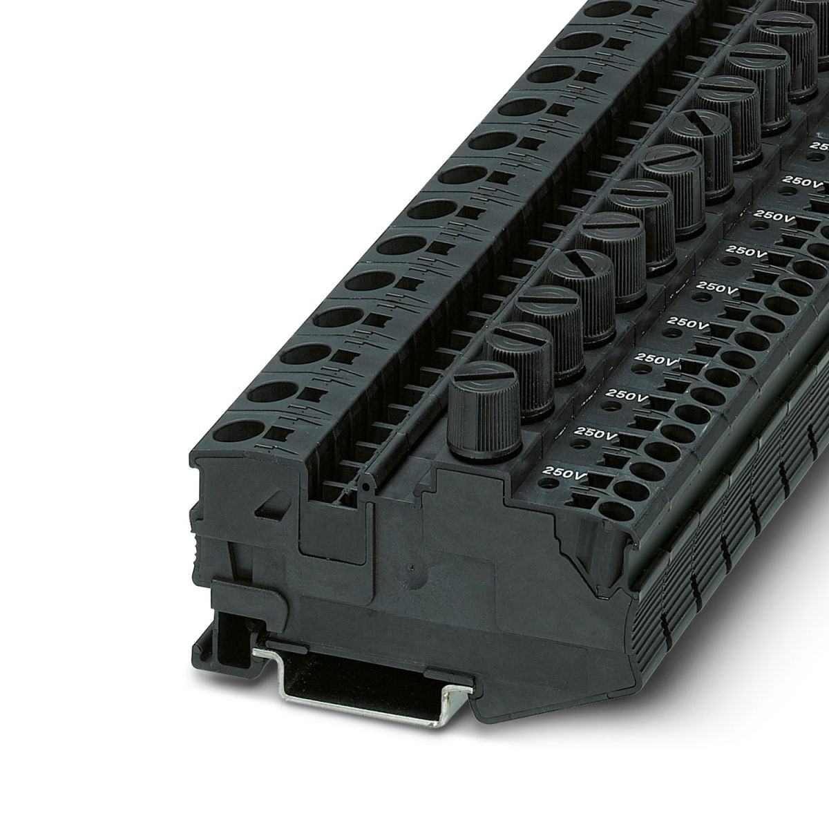 DT 6/2,5-DREHSILA 250 (5X20) - Fuse modular terminal block (3034264)